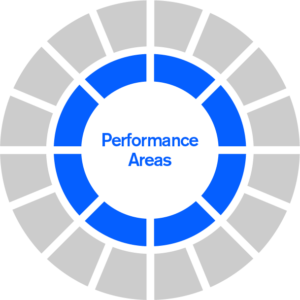 Advantage Performance Areas